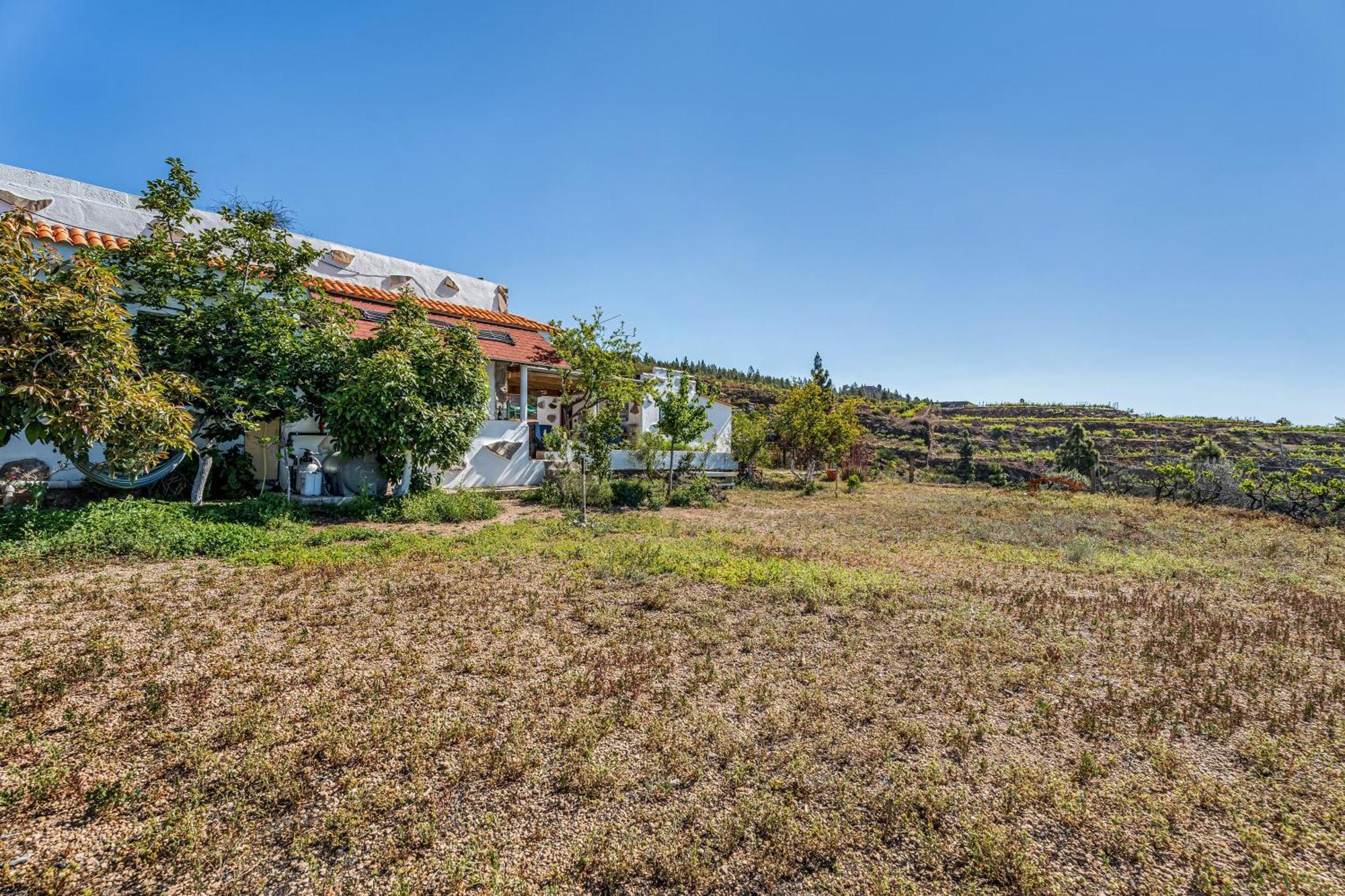 Land Of Dreams Villa Vilaflor Exterior foto
